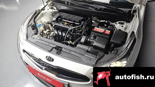 Kia K3 Come New K3 2019 года - вид 6