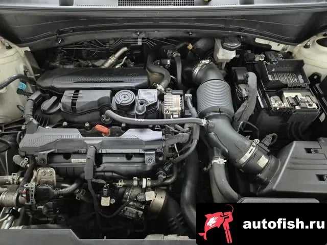 Kia Sportage Sportage 5th Generation 2023 года - вид 5