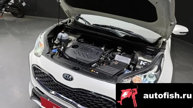 Kia Sportage Sportage The Bold 2018 года - вид 6