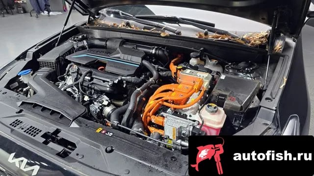 Kia K8 K8 Hybrid 2021 года - вид 6