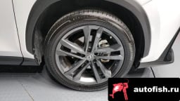 Миниатюра 5