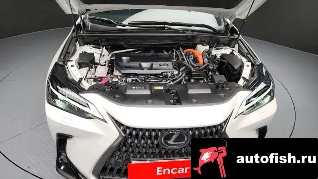 Lexus NX NX350h Second generation 2022 года - вид 6