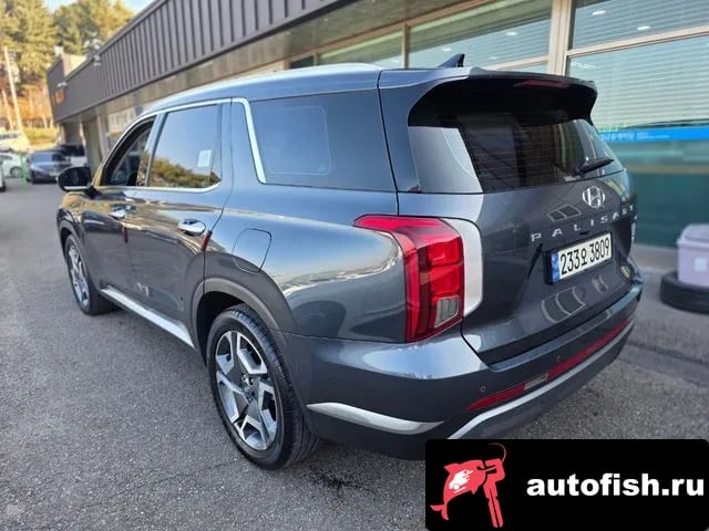 Hyundai Palisade The New Palisade 2024 года - вид 4