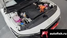 Миниатюра 6