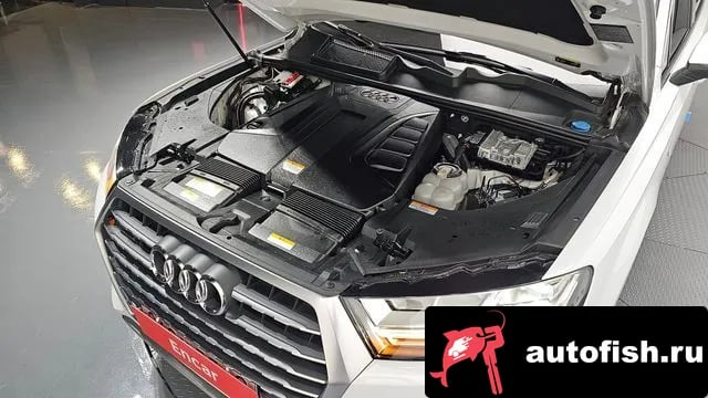 Audi Q7 Q7 (4M) 2019 года - вид 6