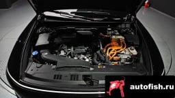 Миниатюра 6