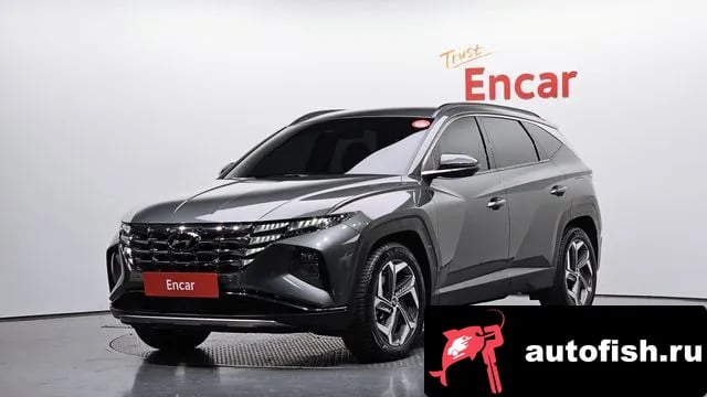 Hyundai Tucson Tucson (NX4) 2020 года - вид 1