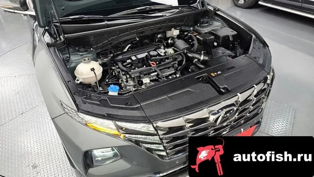 Hyundai Tucson Tucson (NX4) 2020 года - вид 6
