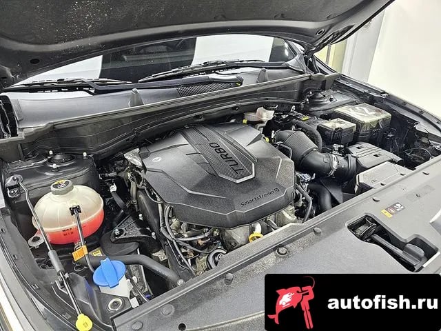 Kia Sportage Sportage 5th Generation 2022 года - вид 6