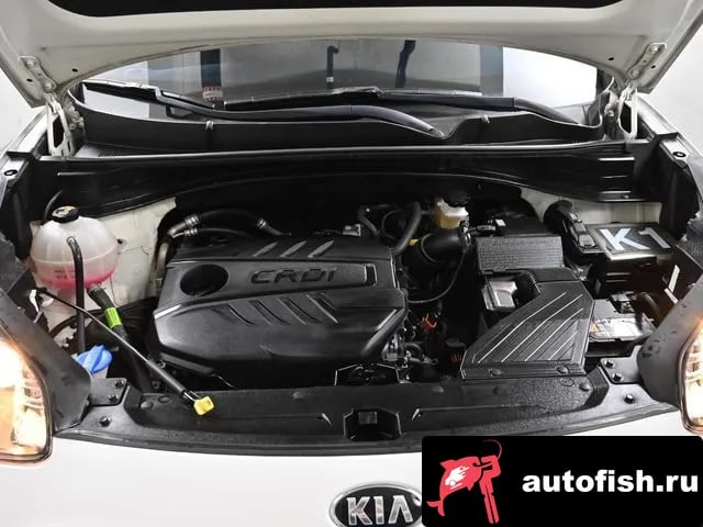 Kia Sportage Sportage The Bold 2021 года - вид 6