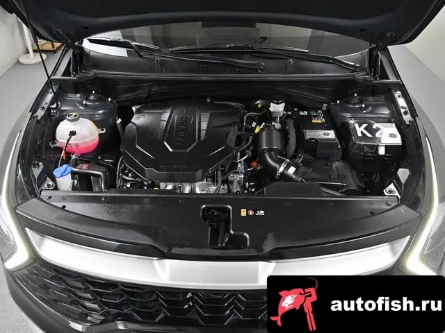 Kia Sportage Sportage 5th Generation 2024 года - вид 6