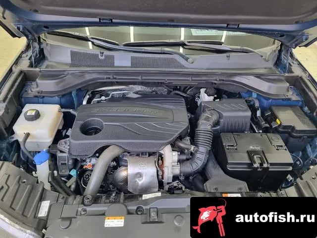 KG Mobility (Ssangyong) KORANDO Beautiful Korando 2021 года - вид 5