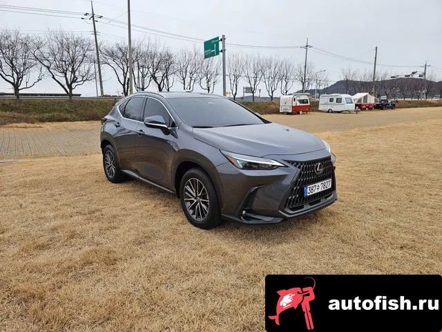 Lexus NX NX450h + 2nd generation 2023 года - вид 1
