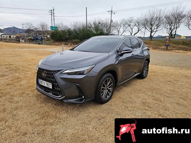 Lexus NX NX450h + 2nd generation 2023 года - вид 3