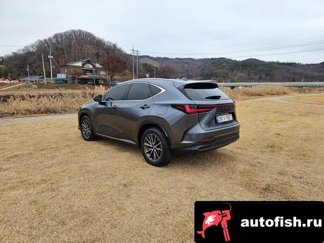 Lexus NX NX450h + 2nd generation 2023 года - вид 5