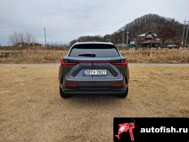 Lexus NX NX450h + 2nd generation 2023 года - вид 6