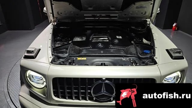 Mercedes-Benz G-Class G-Class W463b 2020 года - вид 6