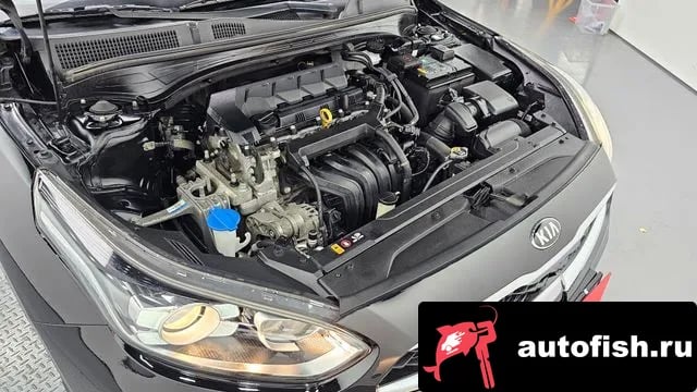 Kia K3 Come New K3 2020 года - вид 6