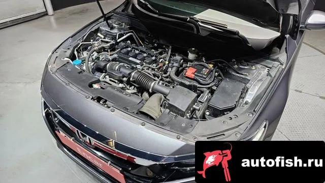 Honda Accord Accord 10th Generation 2018 года - вид 6