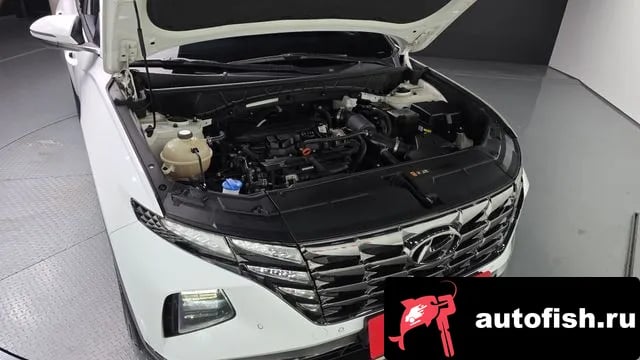 Hyundai Tucson Tucson (NX4) 2020 года - вид 6