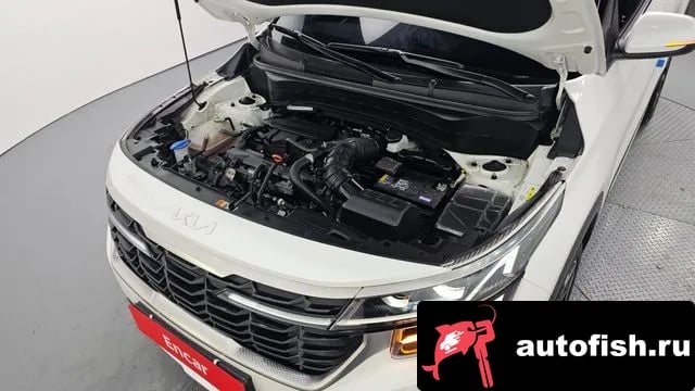 Kia Seltos The New Celtos 2023 года - вид 6