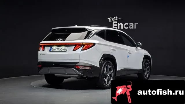 Hyundai Tucson Tucson (NX4) 2023 года - вид 2