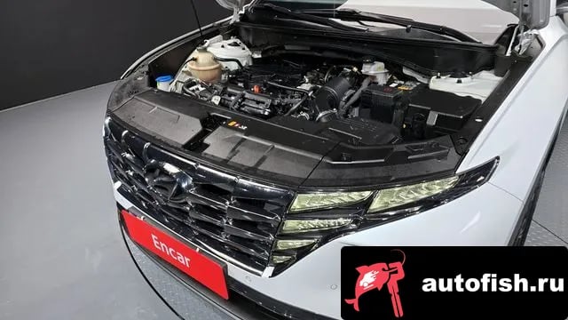 Hyundai Tucson Tucson (NX4) 2023 года - вид 6