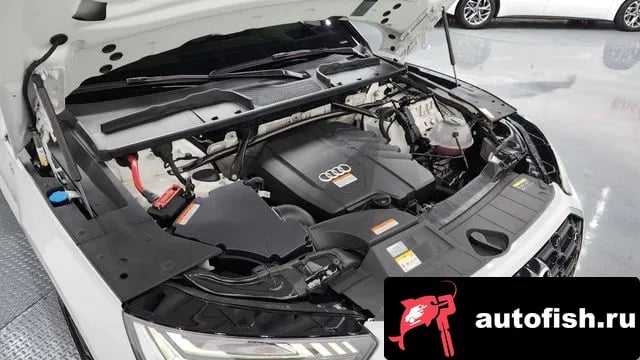 Audi Q5 Q5 (FY) 2024 года - вид 6