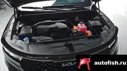 Миниатюра 6