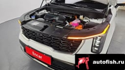 Миниатюра 6