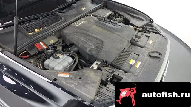 Audi Q8 Q8 (4M) 2021 года - вид 6