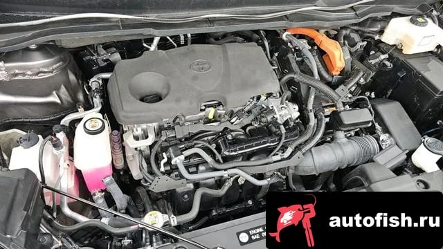 Toyota Sienna Siena 4th Generation 2023 года - вид 6