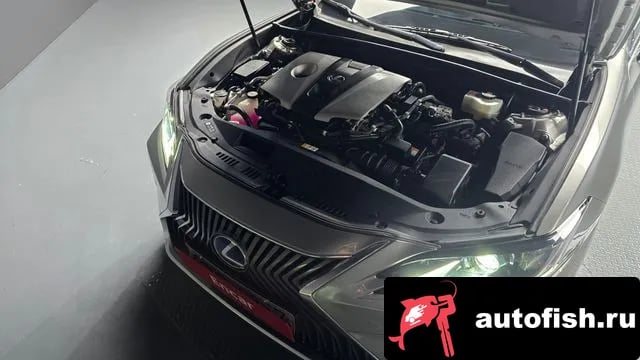 Lexus ES ES300h 7th generation 2020 года - вид 6