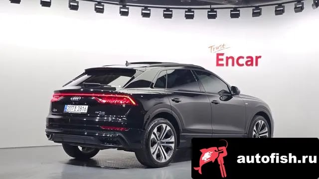 Audi Q8 Q8 (4M) 2023 года - вид 2