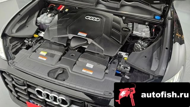 Audi Q8 Q8 (4M) 2023 года - вид 6