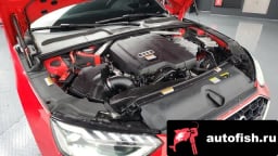 Миниатюра 6