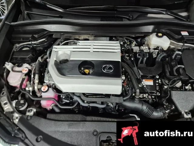 Lexus UX UX250h 2023 года - вид 6