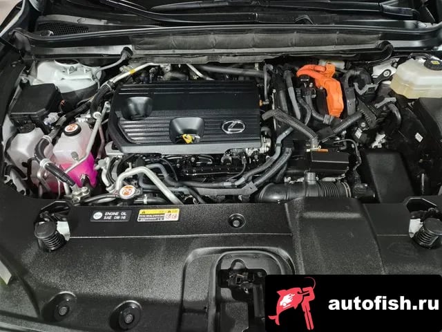 Lexus RX RX450h + 5th generation 2024 года - похожие автомобили