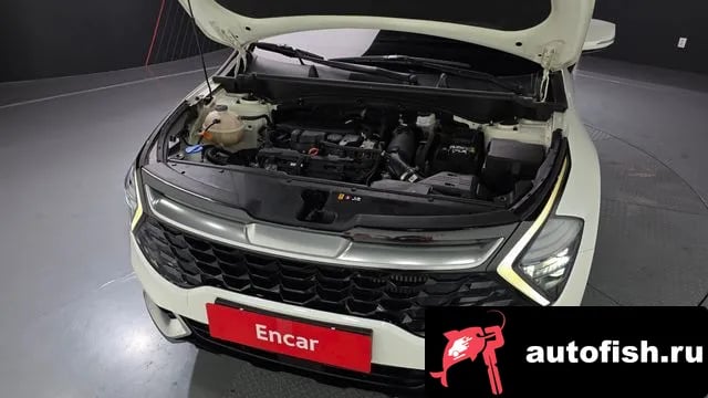 Kia Sportage Sportage 5th Generation 2022 года - вид 6