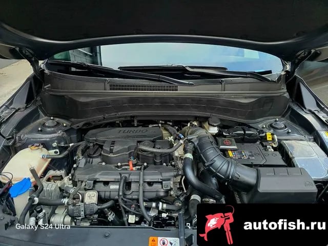 Kia Seltos The New Celtos 2023 года - похожие автомобили