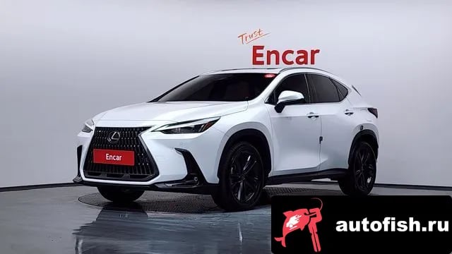 Lexus NX NX350h Second generation 2024 года - автомобиль из Южной Кореи