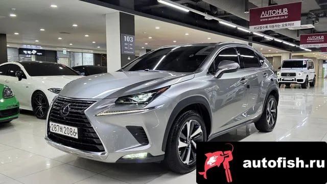 Lexus NX NX300h 2021 года - вид 1