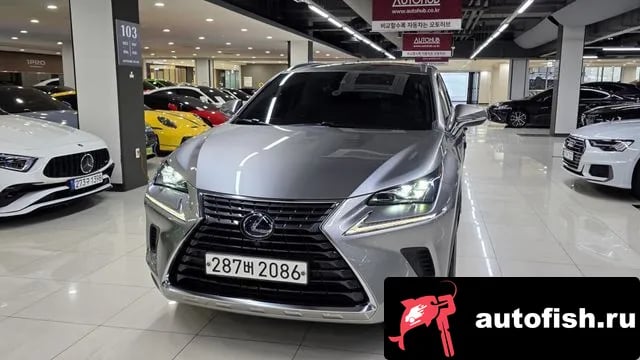 Lexus NX NX300h 2021 года - вид 2