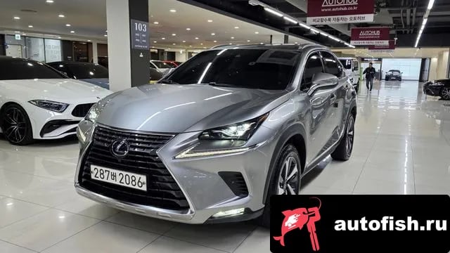 Lexus NX NX300h 2021 года - вид 4