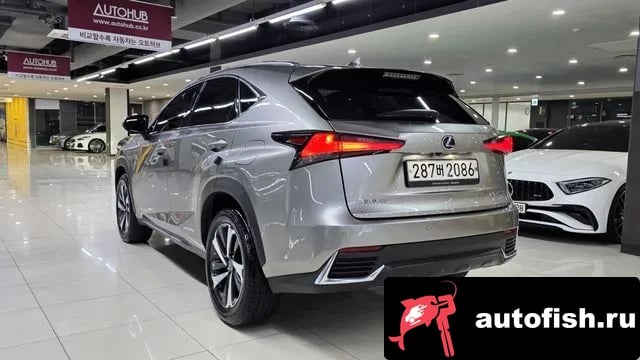 Lexus NX NX300h 2021 года - вид 6