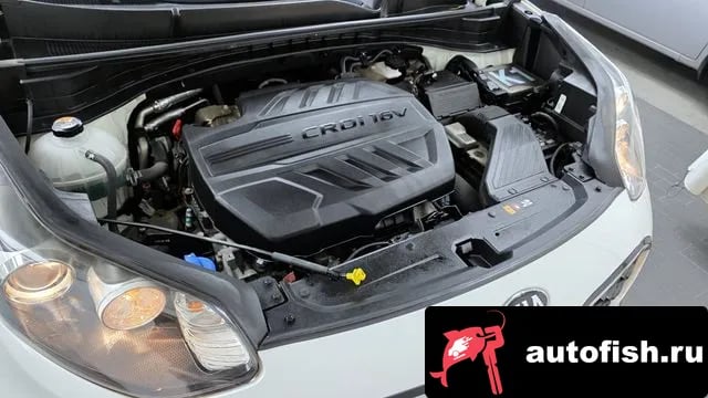 Kia Sportage Sportage The Bold 2020 года - вид 6