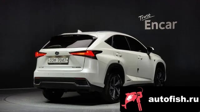 Lexus NX NX300h 2018 года - вид 2