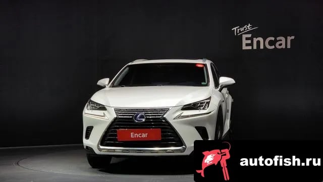 Lexus NX NX300h 2018 года - вид 3