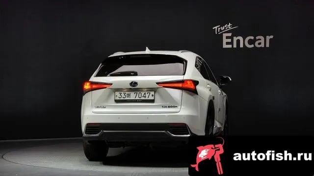Lexus NX NX300h 2018 года - вид 4