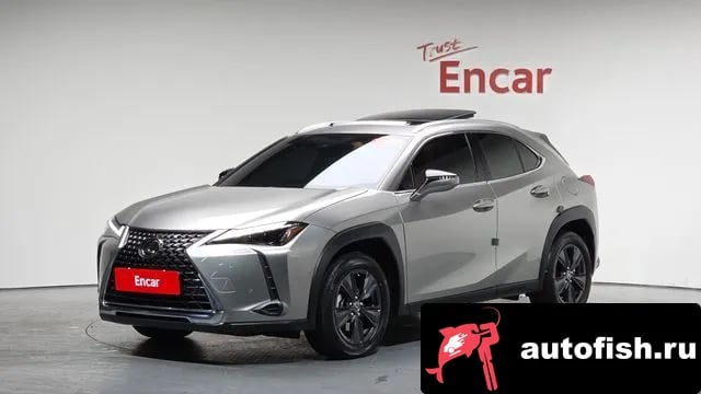Lexus UX UX250h 2024 года - вид 1
